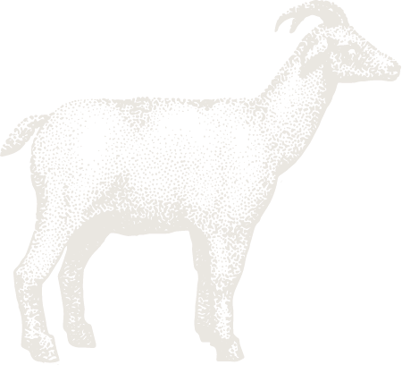 Gravure - Chèvre